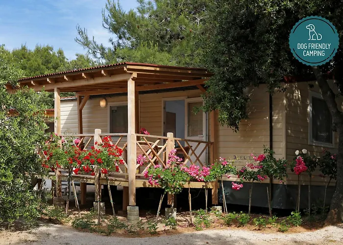 Πάρκο διακοπών Amadria Park Mobile Homes 4*